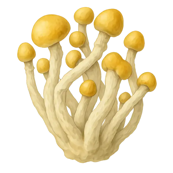 Growkit MVP