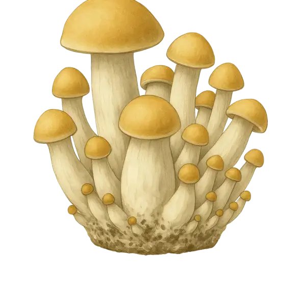 Growkit Timbit
