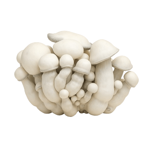 Growkit Tidal Wave Ape