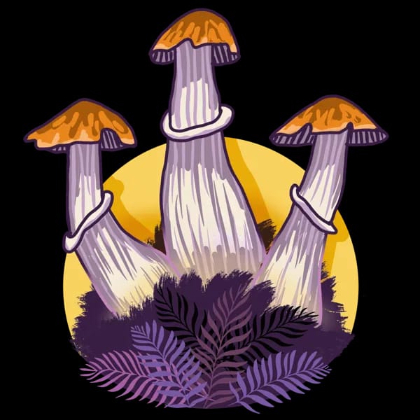Growkit Growkit Golden Teacher