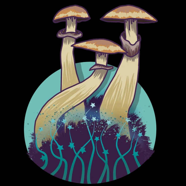 Growkit Mexican - Image 1