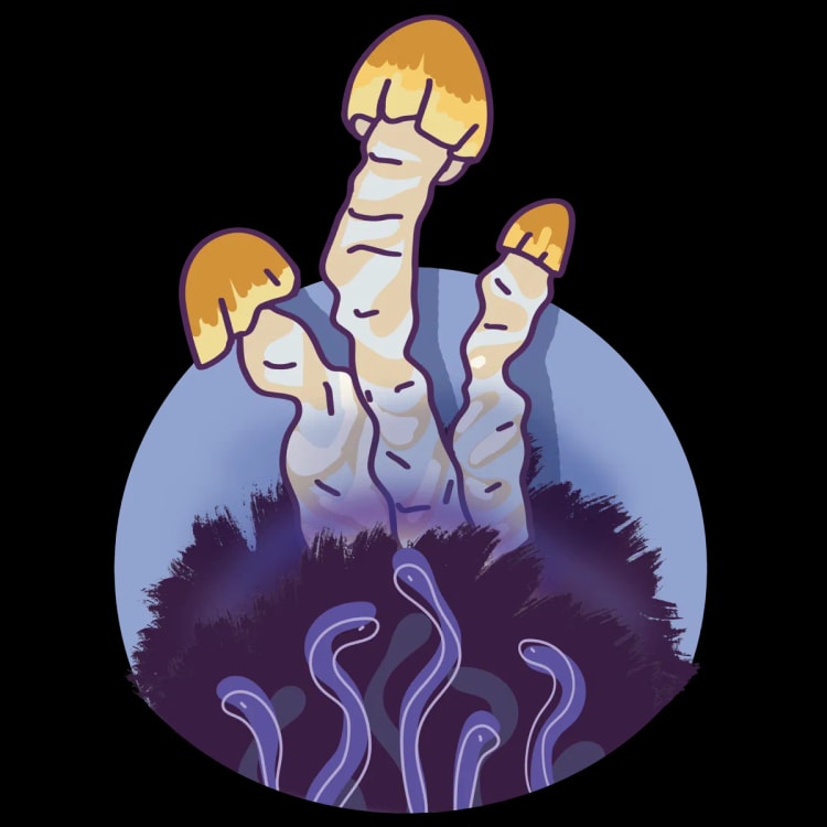 Growkit MVP - Image 1