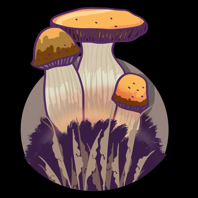 Growkit Timbit - Image 1