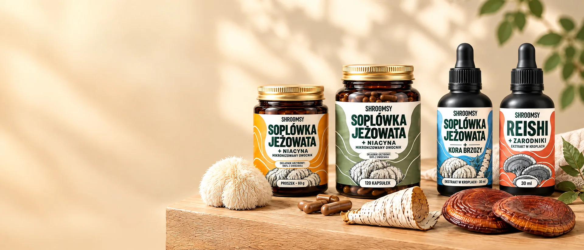 Suplementy Shroomsy z soplówki jeżowatej i Reishi: proszek, kapsułki i ekstrakty w kroplach na dębowej półce