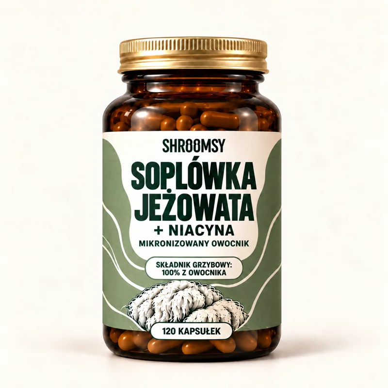 Soplówka jeżowata, kapsułki, 120 kapsułek